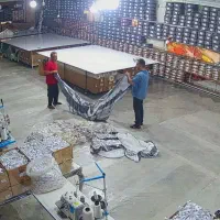 تولید و پخش روفرشی گشدار