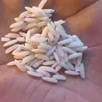 ۱عدد کیسه ۱۰ کیلویی برنج ایرانی