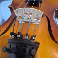 ویولن tf142|ویولن|یاسوج, |دیوار