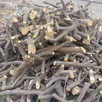 فروش چوب پرتقال|خدمات باغبانی و درختکاری|جهرم, |دیوار