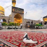 رزرو آنلاین تور داخلی و خارجی و هتل|تور و چارتر|گرگان, |دیوار