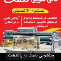 (مبلشویی و قالیشویی نعمت در پاکدشت )|خدمات نظافت|ورامین, ورامین|دیوار