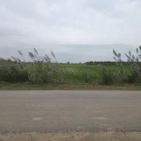 زمین-کشاورزی-ممتاز-درمنطقه-نزدیک-دریا-و-برجاده