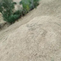 گزرە|عمده‌فروشی|مهاباد (آذربایجان غربی), |دیوار