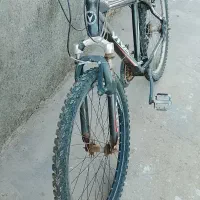 دوچرخه ویوا ۲۶