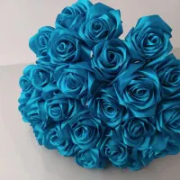 فروش گل رز ساتنی شاین دار (تولید مداوم هفتگی)