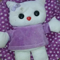 پنج کیف فقط۳۰۰|کیف، کفش، کمربند|برازجان, |دیوار