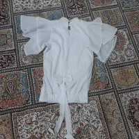 شومیز مجلسی|لباس|شیراز, شهرک کوشکک|دیوار