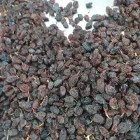 کشمش درجه یک|خوردنی و آشامیدنی|میاندوآب, |دیوار