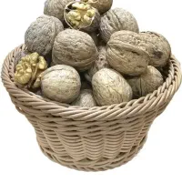 گردو کوهی