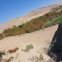 زمین روستای باباامان