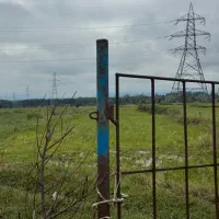 مزرعه سنتی ۳۳۶۰متری/راه سر مزرعه/اب دارد|فروش دفتر صنعتی، کشاورزی، تجاری|رضوانشهر, |دیوار