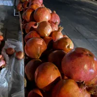 انار درجه ۱ سیو کیلوی ۱۳۰ ‌