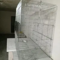 قفس بزرگ