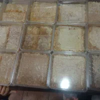 عسل|عمدهفروشی|یاسوج, |دیوار