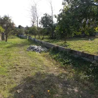 زمین-580-متر-سند-نسخ-سادات-شهر-رامسر