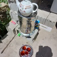 باغ کوچک  بادرختان و استخر کوچک‌و سرویس