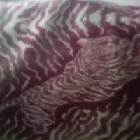 پتو. سنگین وپرزدارپتوسنگین وپرزدار