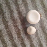 سنگ دوعدد باقیمت مناسب.اصل  اصل ..