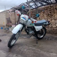 تریل ایکس ۲۵۰پیشرو مزایده