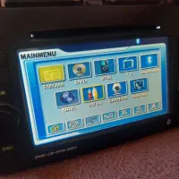 یک جفت طوطی برزیلی|پرنده|چهارباغ, |دیوار