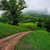 شرکت خدماتی خضرا گنبد بامجوز رسمی