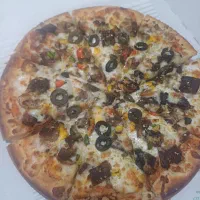 نیرو کار خانم