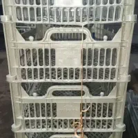 سبد۷کیلویی با درب