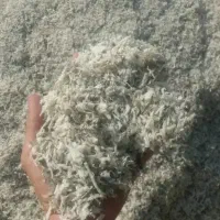 تفاله چغندر|حیوانات مزرعه|فرخ‌شهر, |دیوار