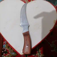 چاقو فوجانجی آمریکایی