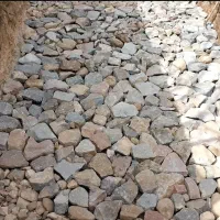 استخرسازی‌ولیزاده