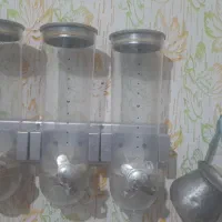 جا حبوباتی دیواری