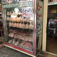 فروش یخچال مرغ