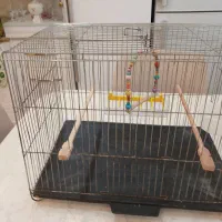 فروش قفس پرنده با تمام وسایل سایزبزرگ|لوازم جانبی حیوانات|رشت, نیروی دریایی|دیوار