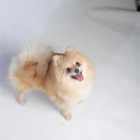 فقط تماس بگیرید