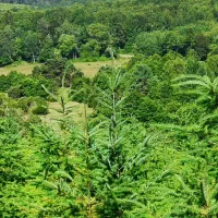 تهاتر-زمین-اصفهان-با-ملک-در-شیراز