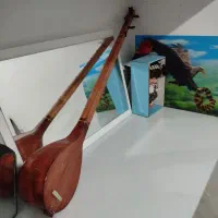 ساز سنتی دکوری