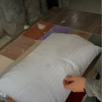 بالش پر ارگانیک قو