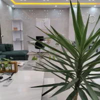 پکیج سه واحدی فول تکمیل تک برگ سند