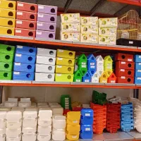 عروس هلندی،مرغ عشق،طوطی،انواع پرندگان زینتی|لوازم جانبی حیوانات|رباط‌کریم, رباط‌کریم|دیوار