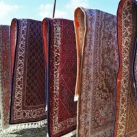 قالیشویی پاکسان در شیخ طوسی،لاله،پروین،اوحدی