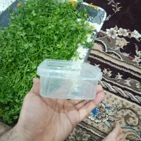 ظروف فریزری مسافرت غذا