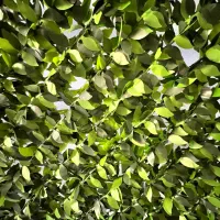 دیوار پوش سبزه مصنوعی، گل مصنوعی،سبزه|گل مصنوعی|یزد, |دیوار