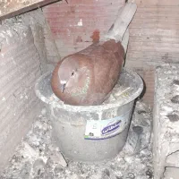 یک جفت کبوتر تکپر معاوضه با دورگ