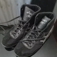 کفش کشتی|کیف، کفش، کمربند|اردبیل, |دیوار