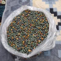 بنه خشک تمیز خانگی