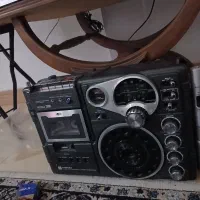 ظبت