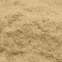 کاه دیم سفید ریز ونرم