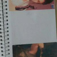 آلبوم عکس قدیمی خوانندگان هندی و ترکیه ای|کلکسیون اشیاء عتیقه|قرچک, محمد آباد|دیوار