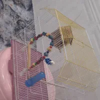 2 عدد قفس.|لوازم جانبی حیوانات|سوسنگرد, |دیوار
